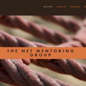 The Net Mentoring Group 1